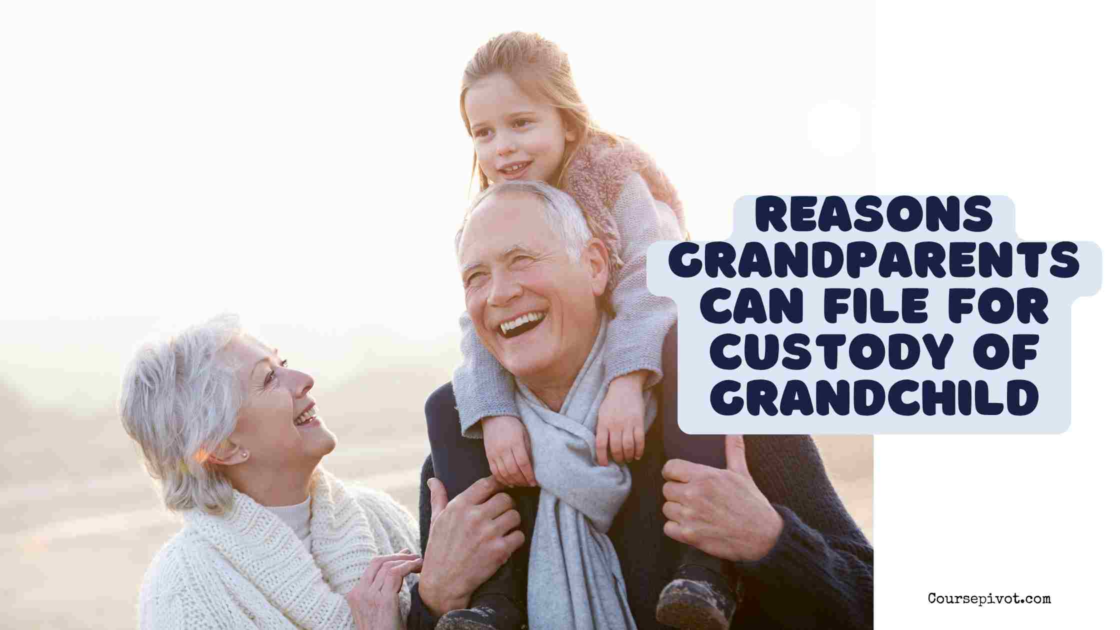 reasons grandparents can file for custody of grandchild