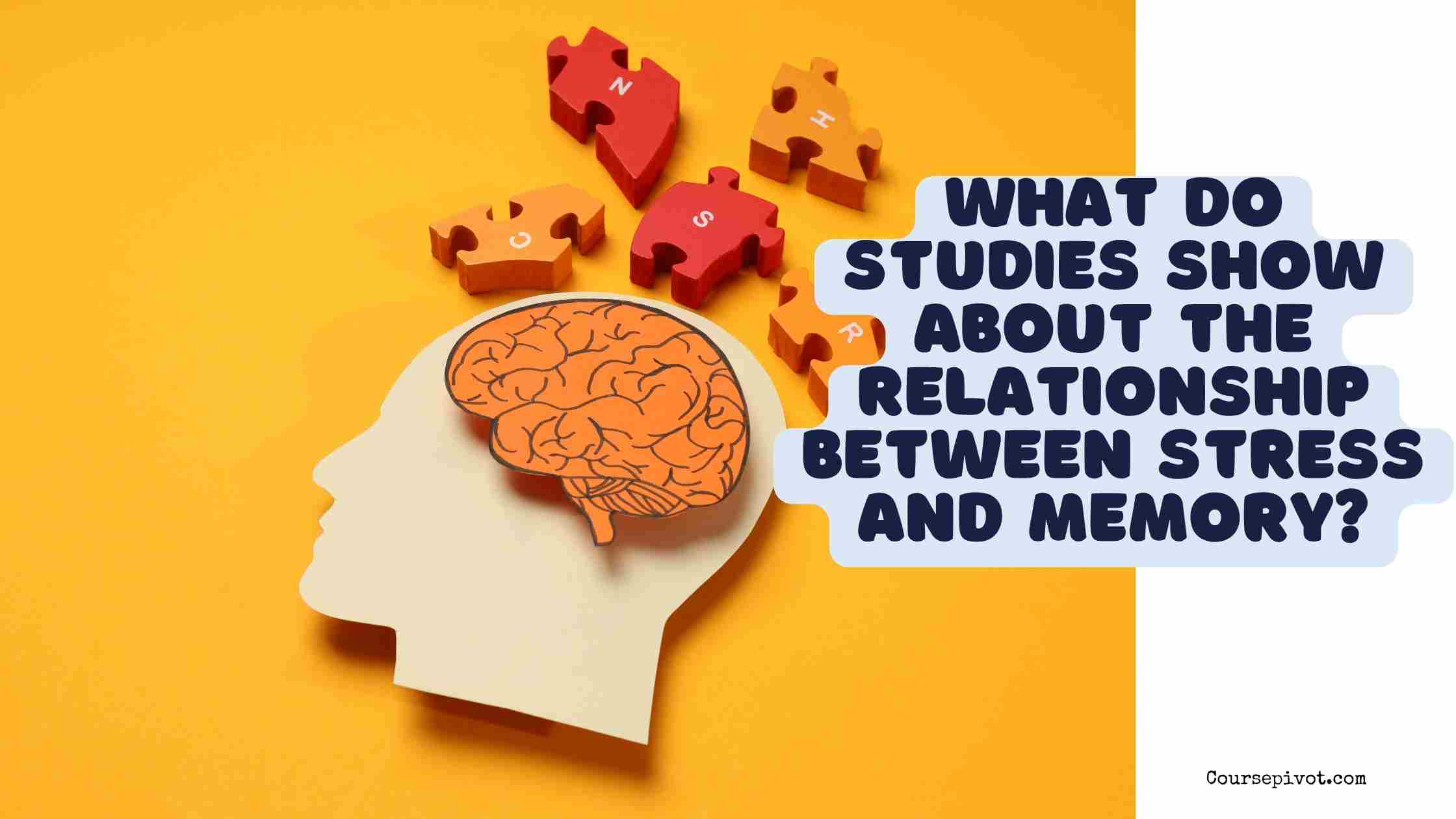 studies show about the relationship between stress and memory Moderate stress can enhance both immediate and delayed recall of educational material.