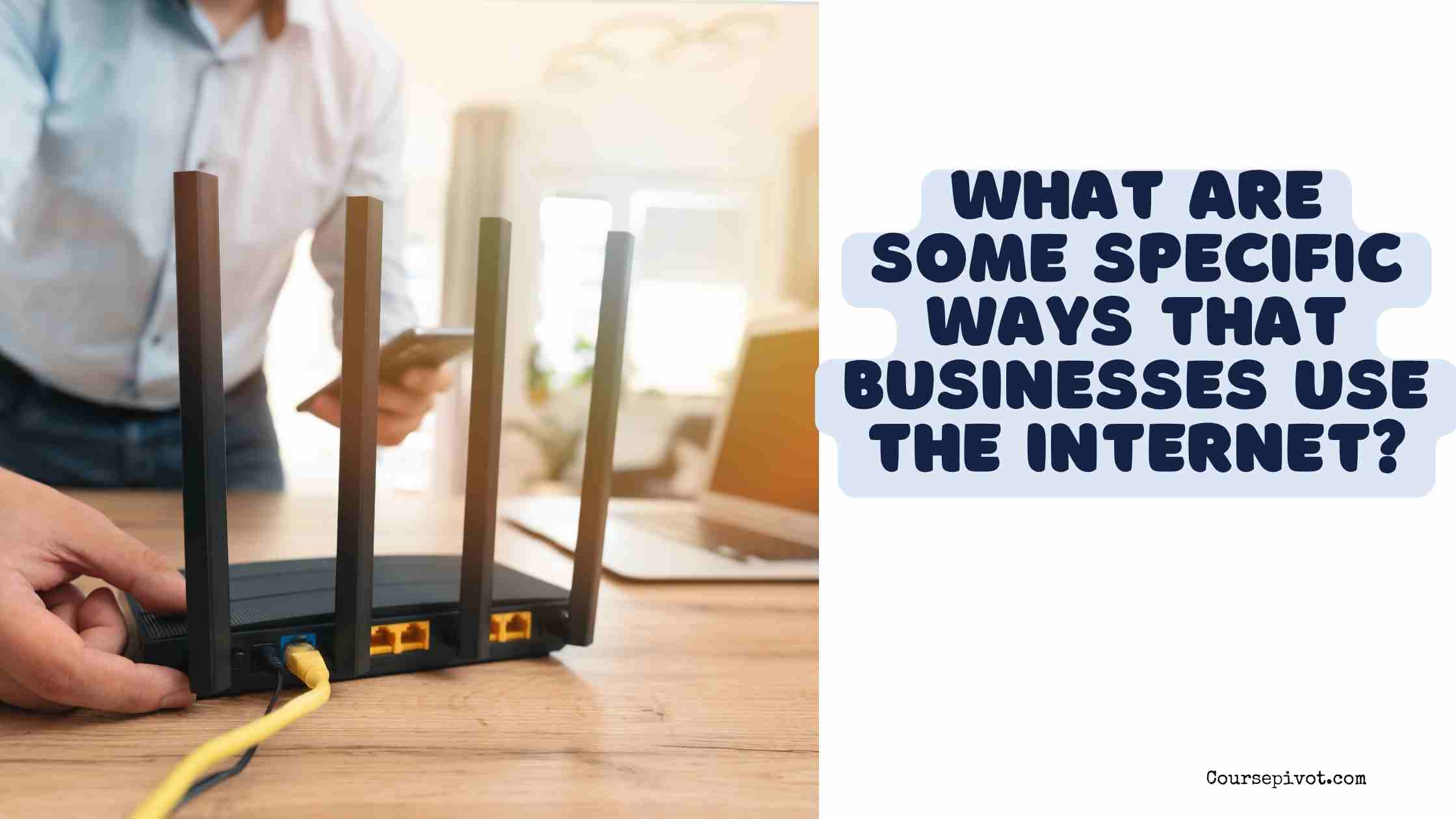 what are some specific ways that businesses use the internet?