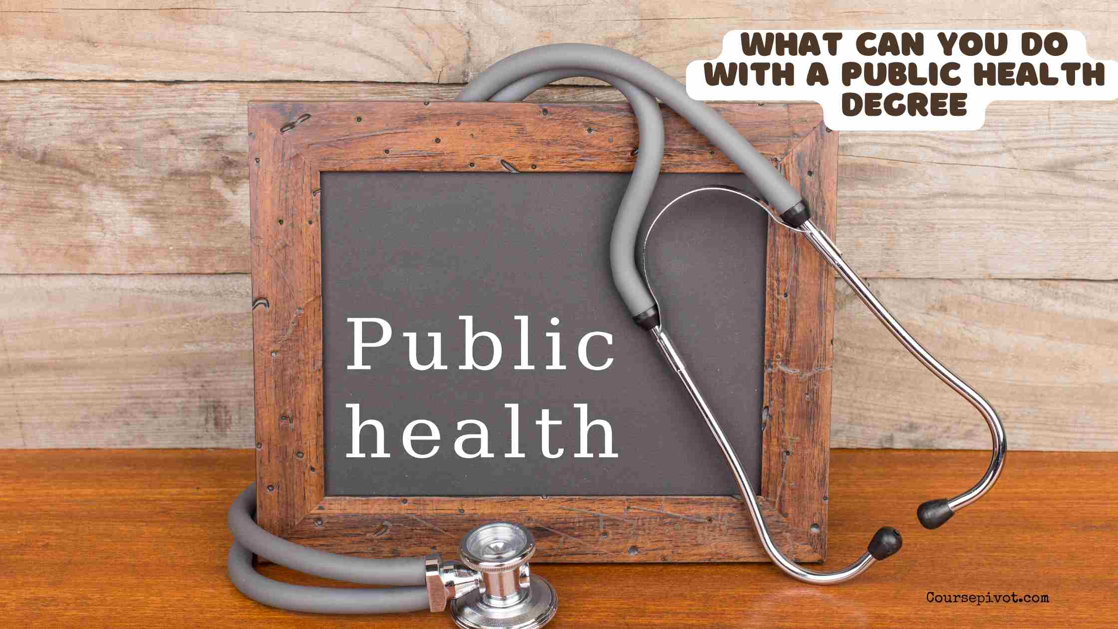 what can you do with a public health degree