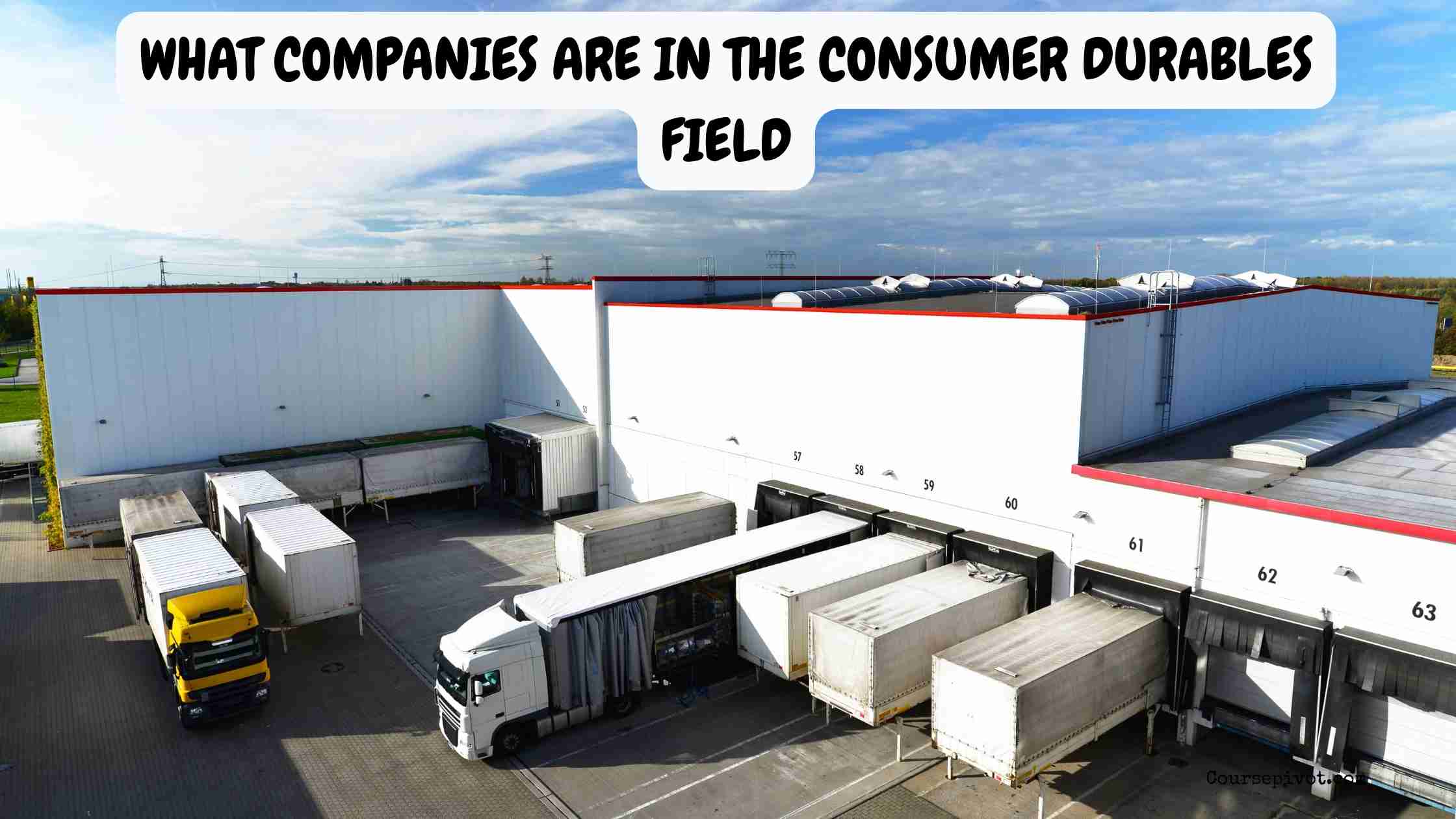 what companies are in the consumer durables field