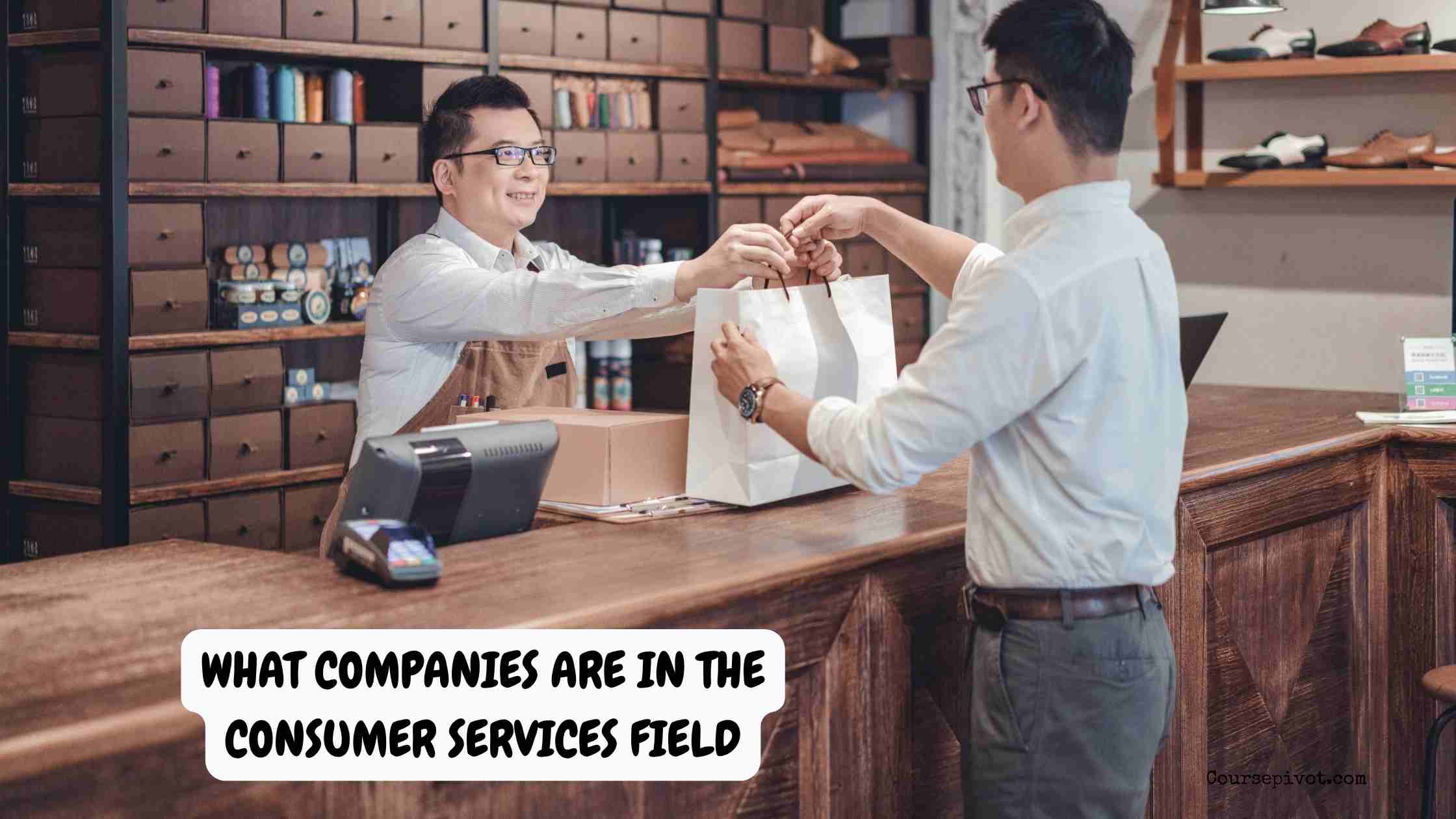 what companies are in the consumer services field