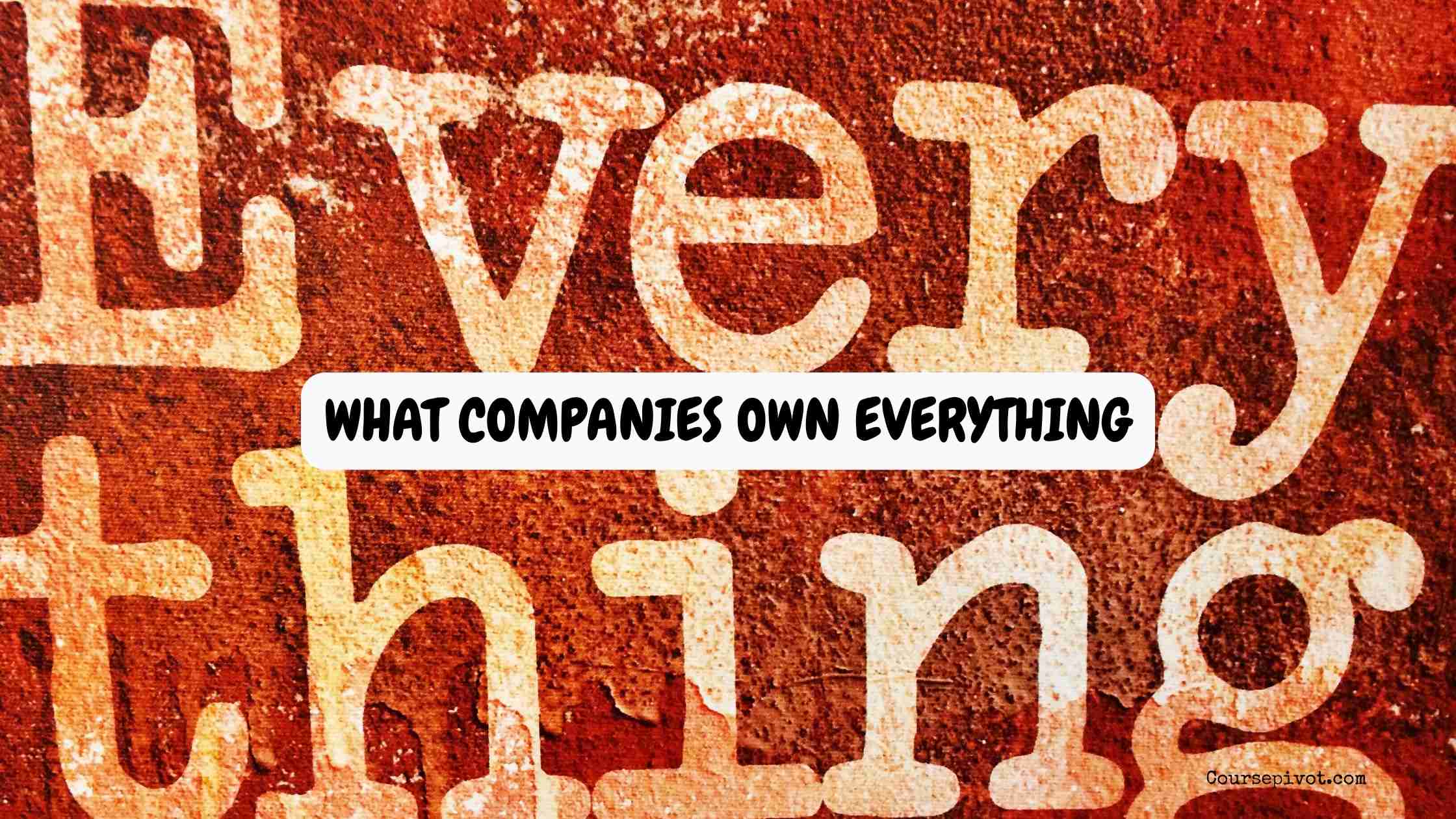 what companies own everything