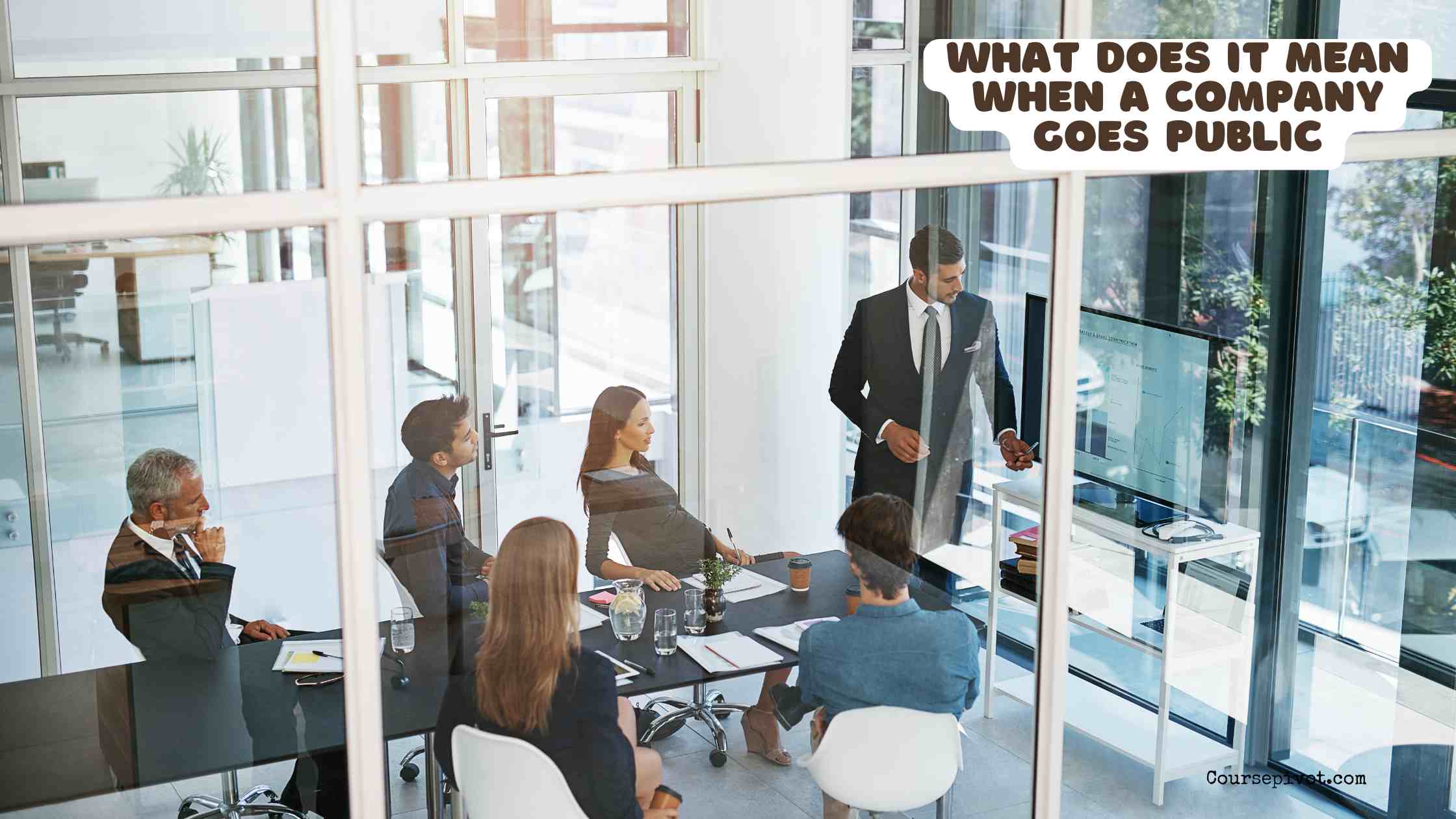 what does it mean when a company goes public