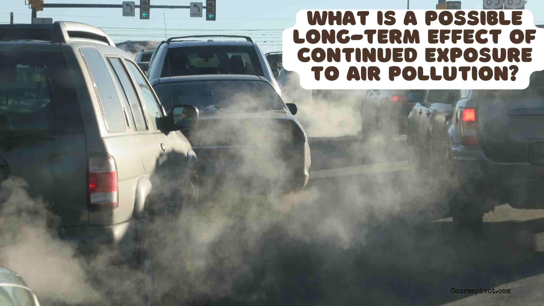What Is a Possible Long-Term Effect of Continued Exposure to Air Pollution?