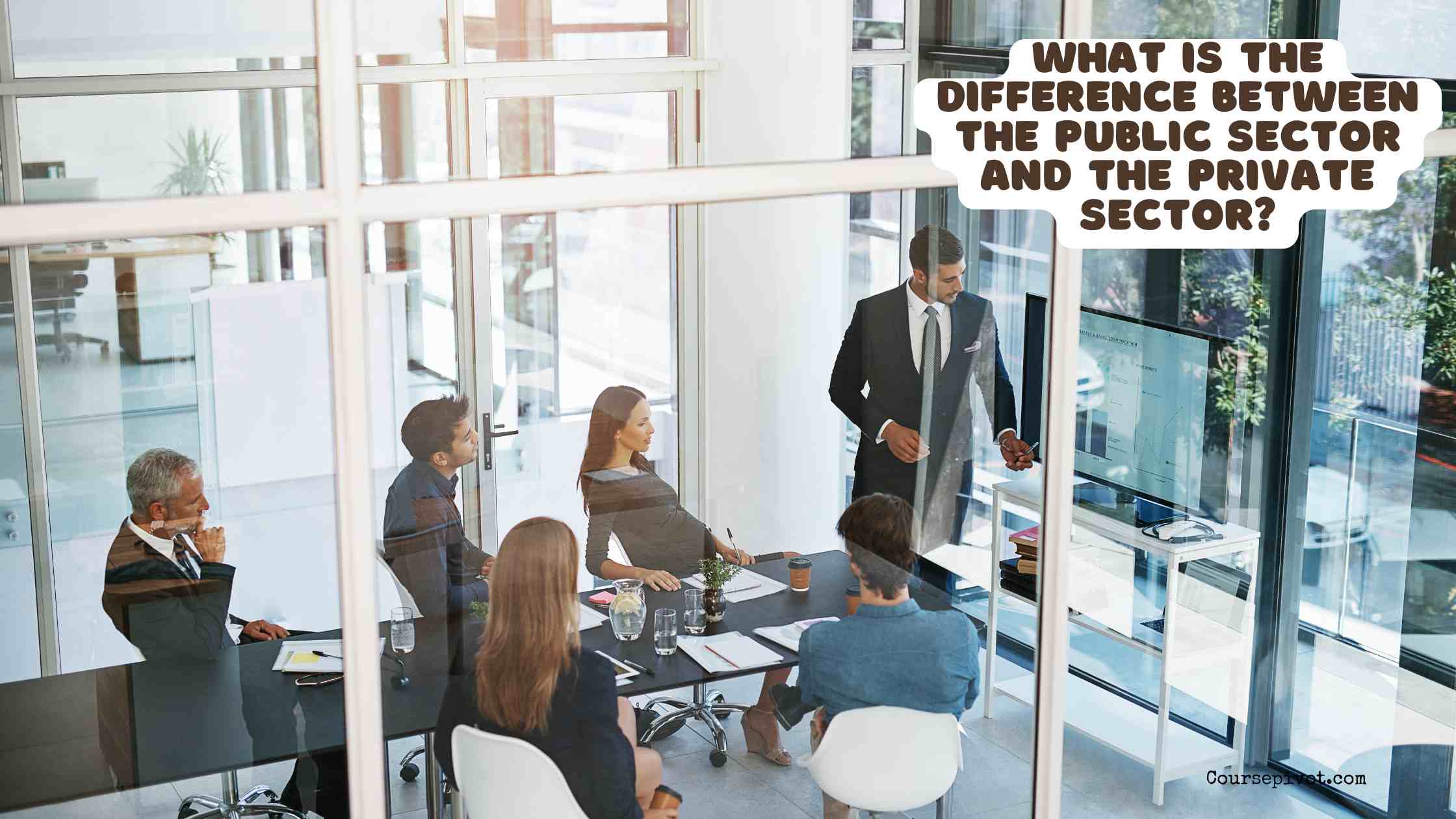 what is the difference between the public sector and the private sector?