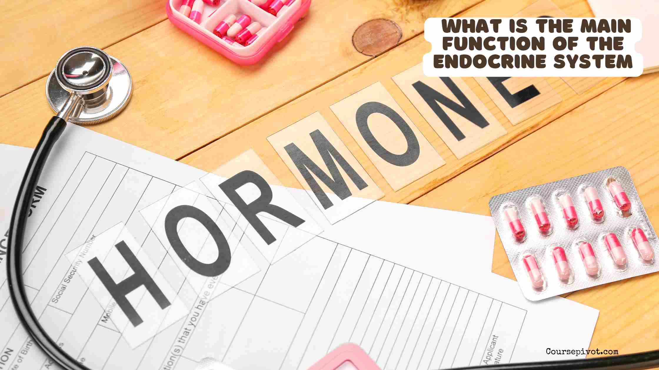 what is the main function of the endocrine system